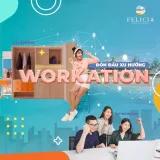 Workation ads