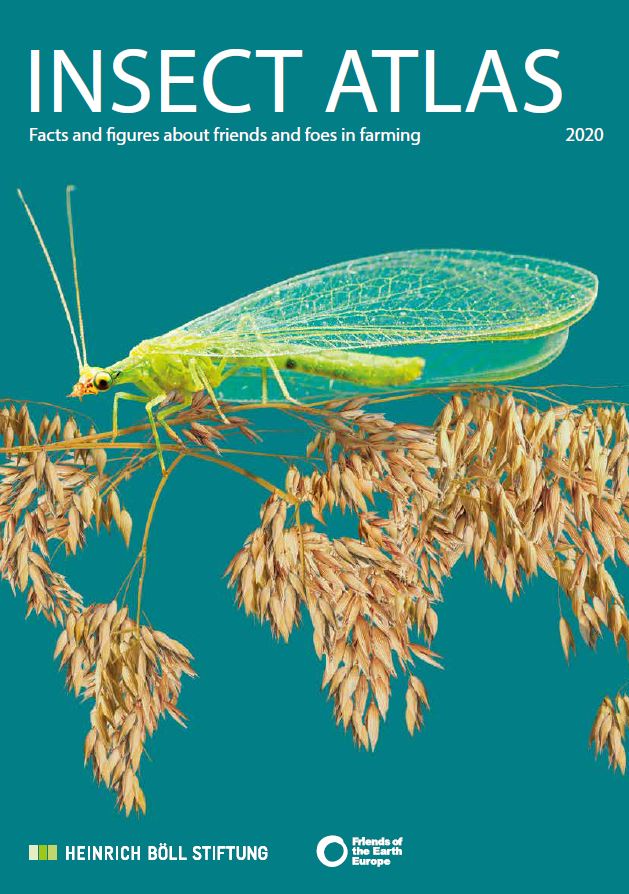 Atlas Insect Insect Atlas | Heinrich Böll Foundation | Southeast Asia