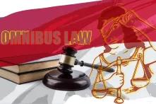 Omnibus Law