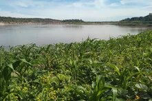 Mekong river