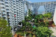 rooftop garden
