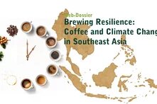 coffee and climate change 2025
