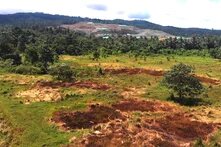 Nickel mining in Halmahera.jpg