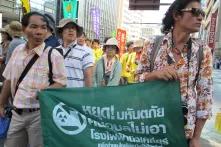Thai anti-nuclear protesters in Japan