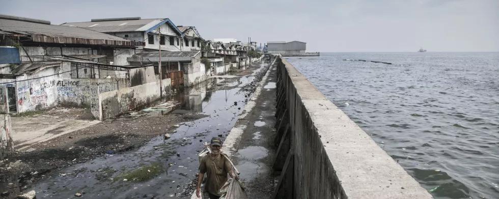 Irene Barlian - Climate Visuals Countdown.jpg