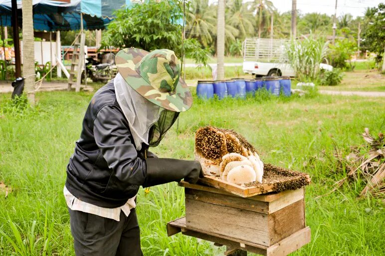 Beekeeper