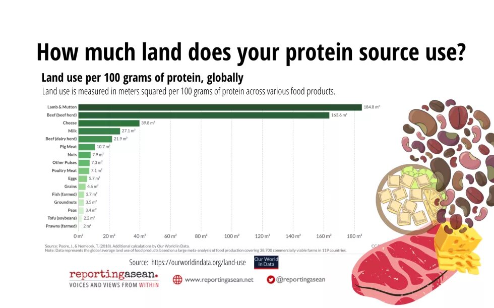 Land Protein Source