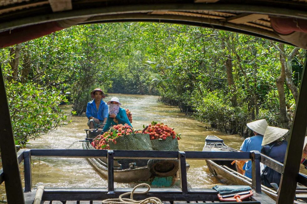 Mekong River Delta.jpg