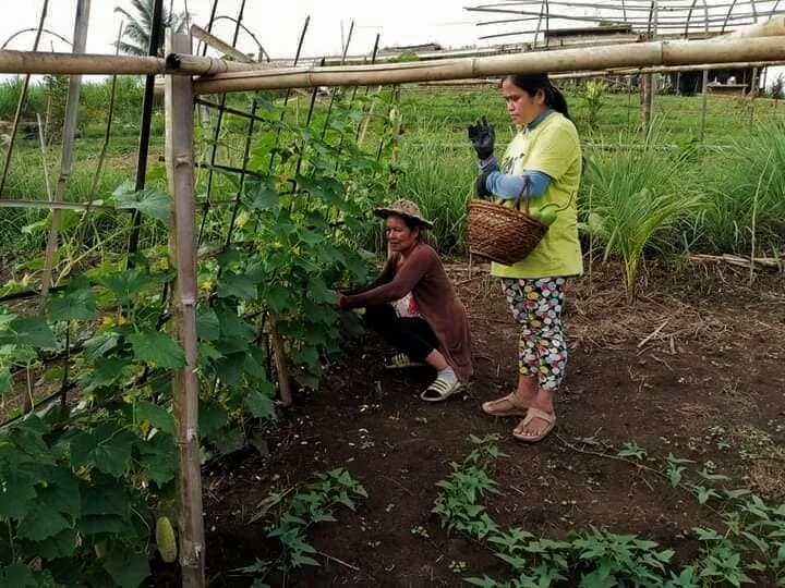 KABILIN women farmers