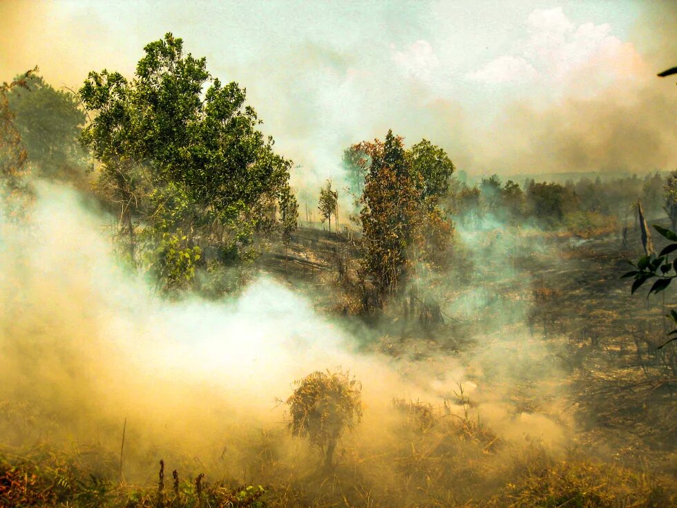 Forest Fire Kalimantan