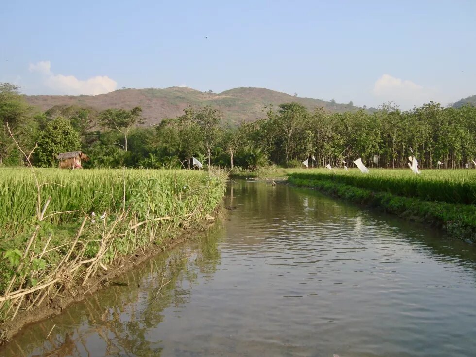 Karst Mountain Kendeng