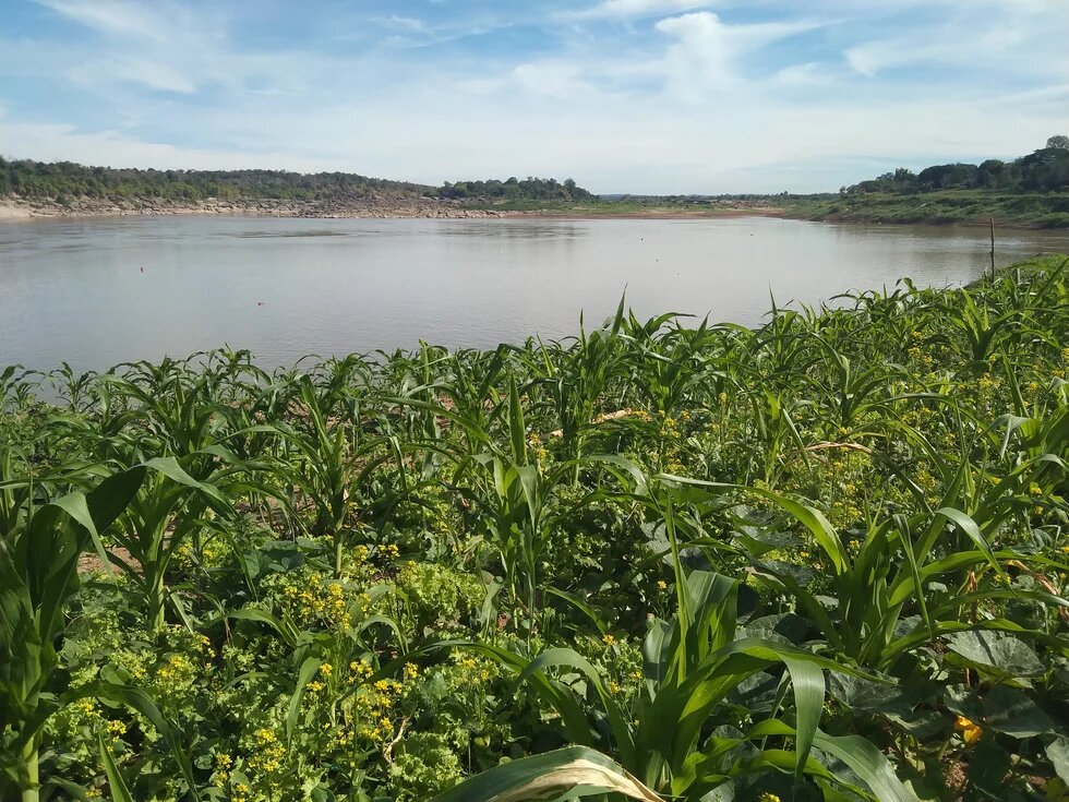Mekong river