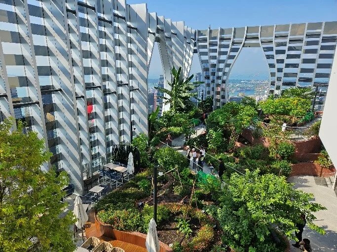 rooftop garden