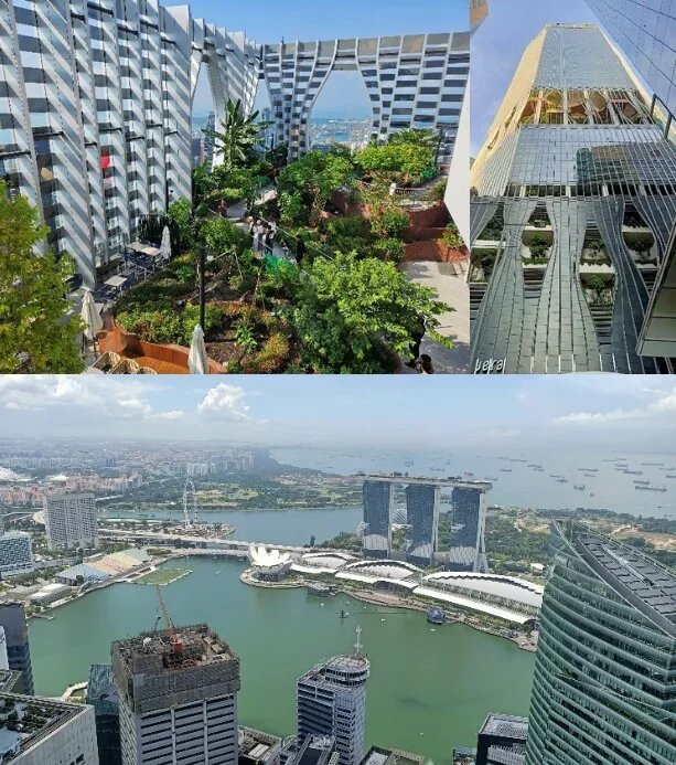 Urban Garden SG