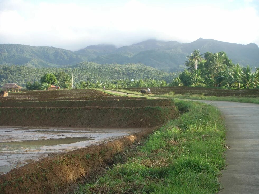 Talustusan Philippines