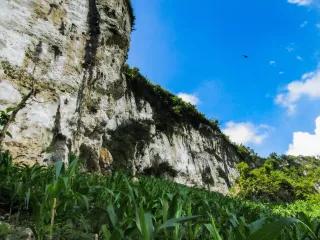 North Kendeng Mountains