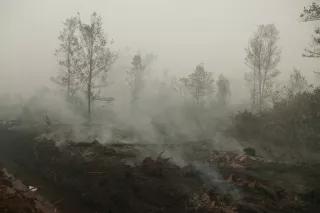 Peat fires Peat fires